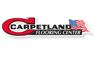carpetland logo image